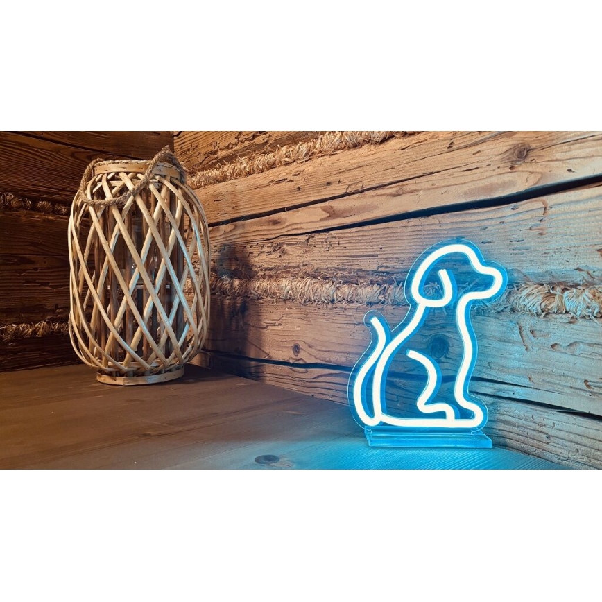 2Kids Toys - LED Neonska stolna dekoracija LED/5W/USB pas
