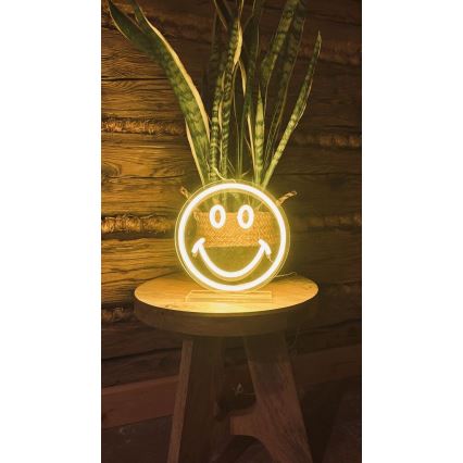 2Kids Toys - LED Neonska stolna dekoracija LED/5W/USB smajlić