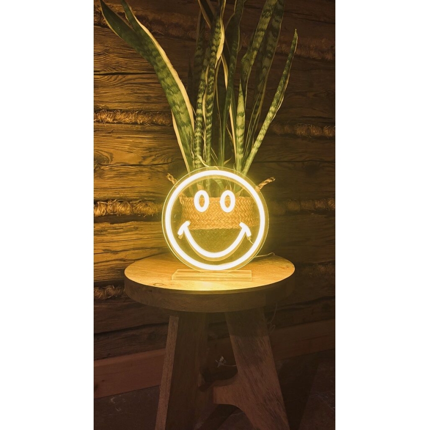 2Kids Toys - LED Neonska stolna dekoracija LED/5W/USB smajlić