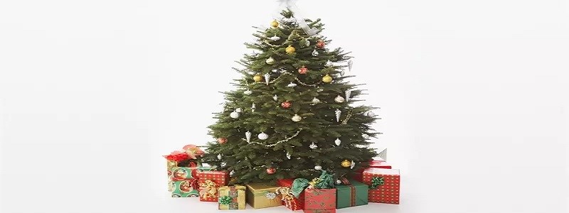 Stiglo je vrijeme da nabavite svoje božićno drvce!