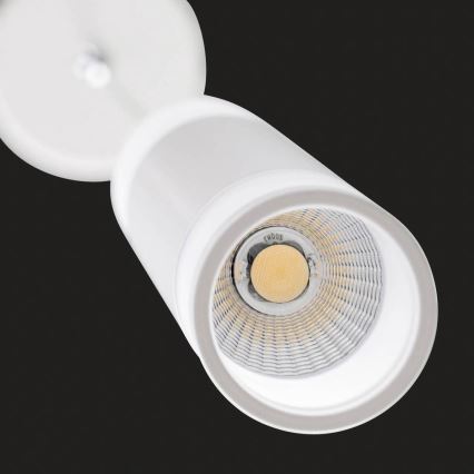 AEG - LED Prigušivi luster na sajli ABBY LED/10W/230V