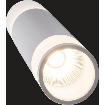 AEG - LED Prigušivi luster na sajli ABBY LED/10W/230V