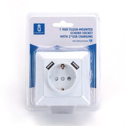 Aigostar - Kućna utičnica SCHUKO 250V + 2x USB s okvirom bijela