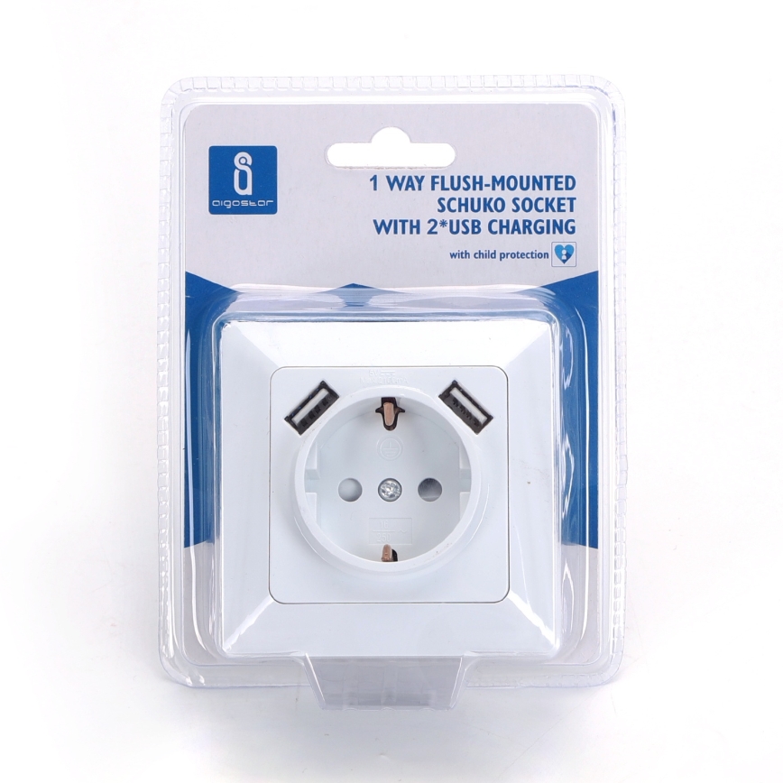 Aigostar - Kućna utičnica SCHUKO 250V + 2x USB s okvirom bijela