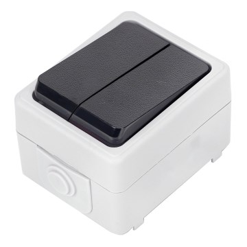 Aigostar - Kućni serijski prekidač 250V/10A IP54