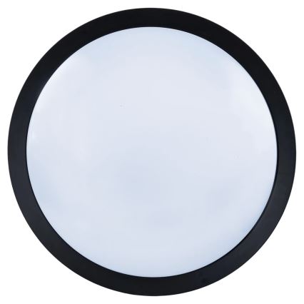 Aigostar - LED stropni ventilator s prigušivanjem svjetla LED/50W/230V 2700-6500K 106 cm crni + daljinski upravljač