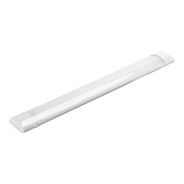 Aigostar - LED fluorescentna svjetiljka LED/20W/230V 4000K 60 cm