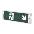 Aigostar - LED Nuzno svjetlo EMERGENCY EXIT LED/4W/230V IP65 6500K 600mAh
