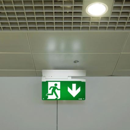 Aigostar - LED Panik svjetiljka EMERGENCY EXIT LED/3,6W/230V 6500K 500mAh