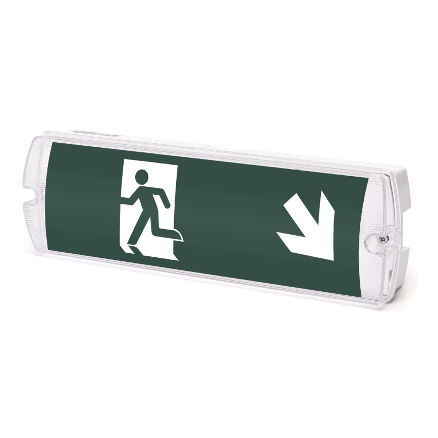 Aigostar - LED Panik svjetiljka EMERGENCY EXIT LED/4W/230V IP65 6500K 600mAh