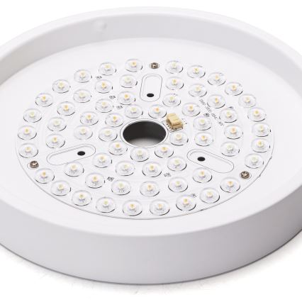 Aigostar - LED Prigušivi stropni ventilator LED/24W/230V 2700-6500K pr. 165 cm + daljinski upravljač bijela