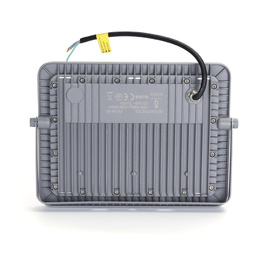 Aigostar - LED Reflektor LED/100W/230V siva 6500K IP65