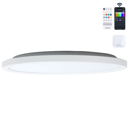 Aigostar - LED RGBW Prigušiva stropna svjetiljka MESH LED/24W/230V 3000-6500K bijela + daljinski upravljač