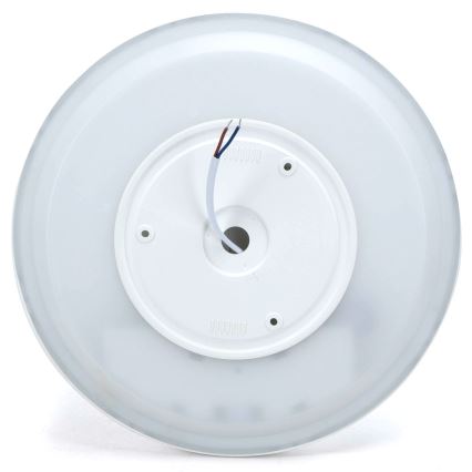 Aigostar - LED RGBW Prigušiva stropna svjetiljka MESH LED/24W/230V 3000-6500K bijela + daljinski upravljač