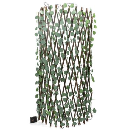 Aigostar - LED solarna dekoracija 148xLED/2x1,2m IP65 300 mAh topla bijela eukaliptus