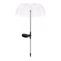 Aigostar - LED Solarna dekorativna lampa LED/0,03W/1,2V 70cm 300 mAh 6500K IP44