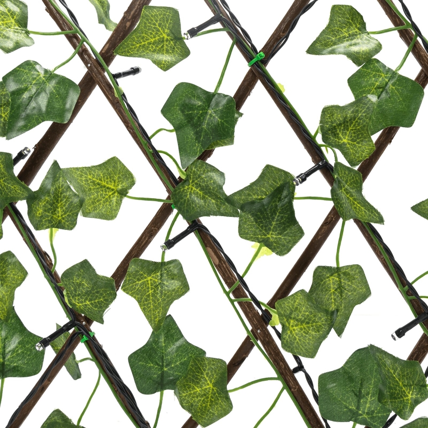 Aigostar - LED Solarni lanac 56xLED/2x0,4m IP65 topla bijela ivy