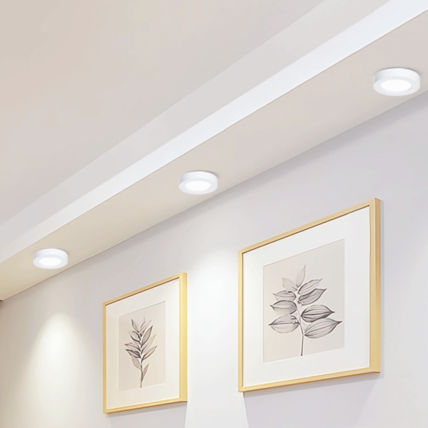 Aigostar - LED Stropna nadgradna svjetiljka LED/12W/230V pr. 17,4 cm 6500K bijela
