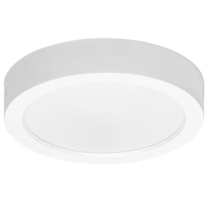 Aigostar - LED Stropna nadgradna svjetiljka LED/12W/230V pr. 17,4 cm 6500K bijela