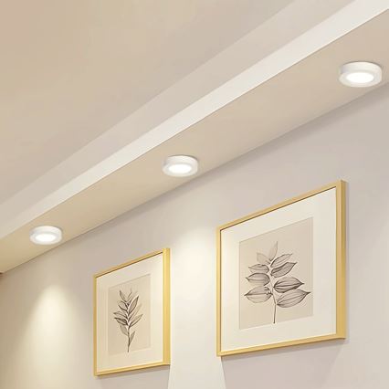 Aigostar - LED Stropna nadgradna svjetiljka LED/18W/230V pr. 22,6 cm 4000K bijela