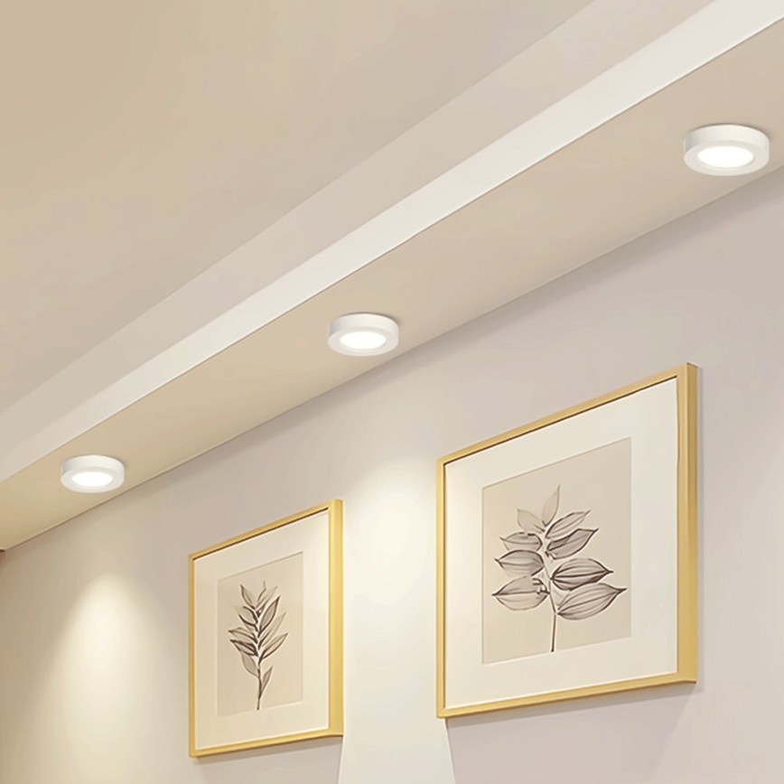 Aigostar - LED Stropna nadgradna svjetiljka LED/18W/230V pr. 22,6 cm 4000K bijela