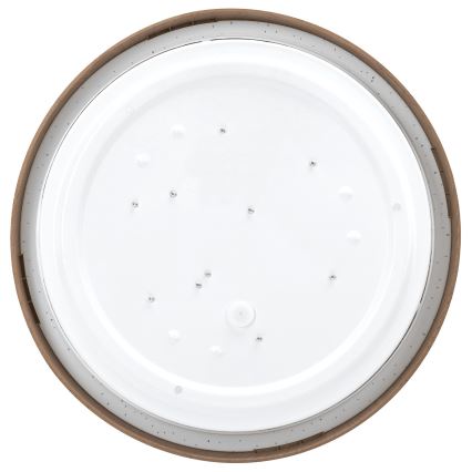 Aigostar - LED Stropna svjetiljka LED/12W/230V 3000K pr. 26,3 cm