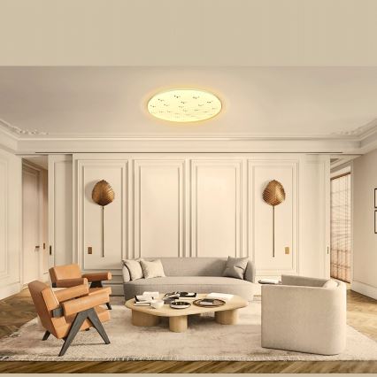 Aigostar - LED Stropna svjetiljka LED/12W/230V 3000K pr. 26cm