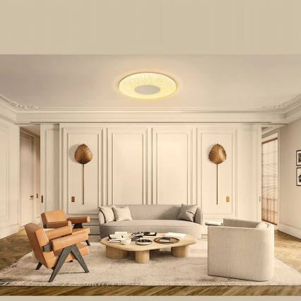 Aigostar - LED Stropna svjetiljka LED/12W/230V 3000K pr. 26cm
