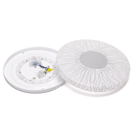 Aigostar - LED Stropna svjetiljka LED/12W/230V 6500K pr. 26cm