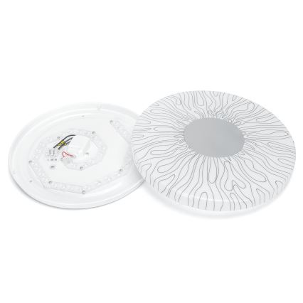Aigostar - LED Stropna svjetiljka LED/20W/230V 3000K pr. 33cm