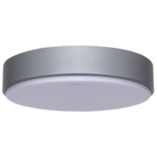 Aigostar - LED Stropna svjetiljka LED/20W/230V 6500K siva
