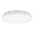 Aigostar - LED Stropna svjetiljka LED/24W/230V 3000K