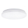 Aigostar - LED Stropna svjetiljka LED/24W/230V 3000K
