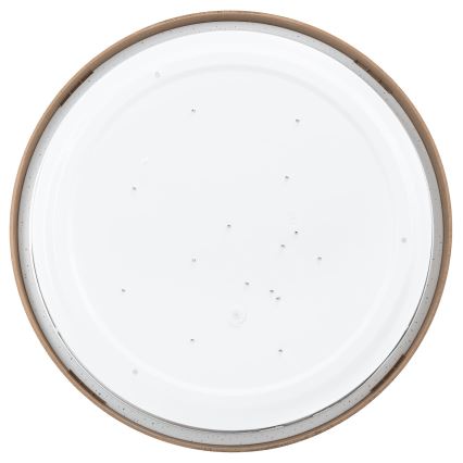 Aigostar - LED Stropna svjetiljka LED/24W/230V 6500K pr. 38,3 cm