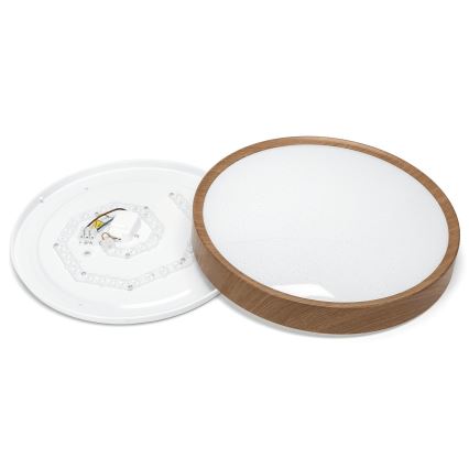 Aigostar - LED Stropna svjetiljka LED/24W/230V 6500K pr. 38,3 cm