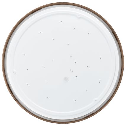 Aigostar - LED Stropna svjetiljka LED/36W/230V 3000K pr. 48,1 cm