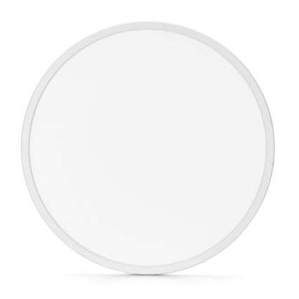 Aigostar - LED Stropna svjetiljka za kupaonicu LED/24W/230V 6500K pr. 40 cm IP44
