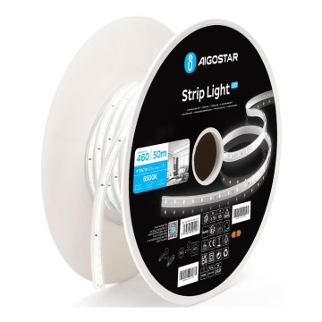 Aigostar - LED traka 250W/230V 50m 6500K IP65