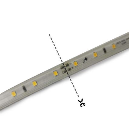 Aigostar - LED Traka LED/250W/230V 50m 6500K IP65