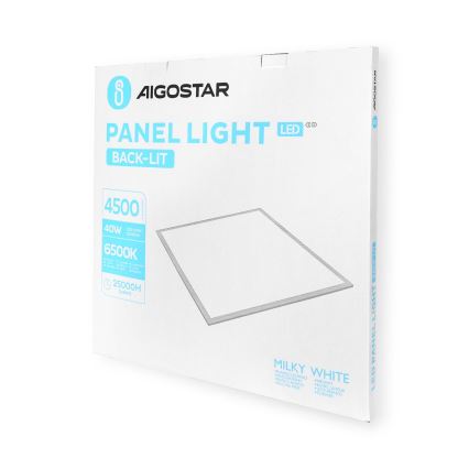 Aigostar - LED Ugradbeni panel LED/40W/230V 6500K 60x60cm bijela