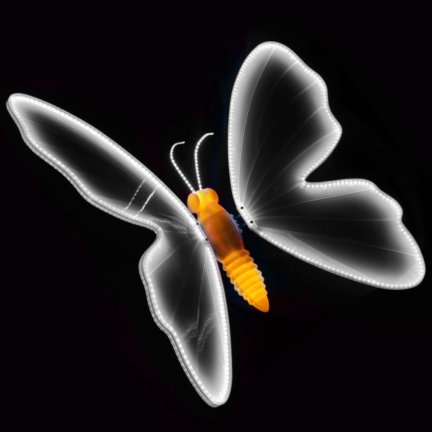 Aigostar - LED vanjska dekoracija 468xLED/18W/230V 75 cm IP44 leptir/hladno bijelo svjetlo