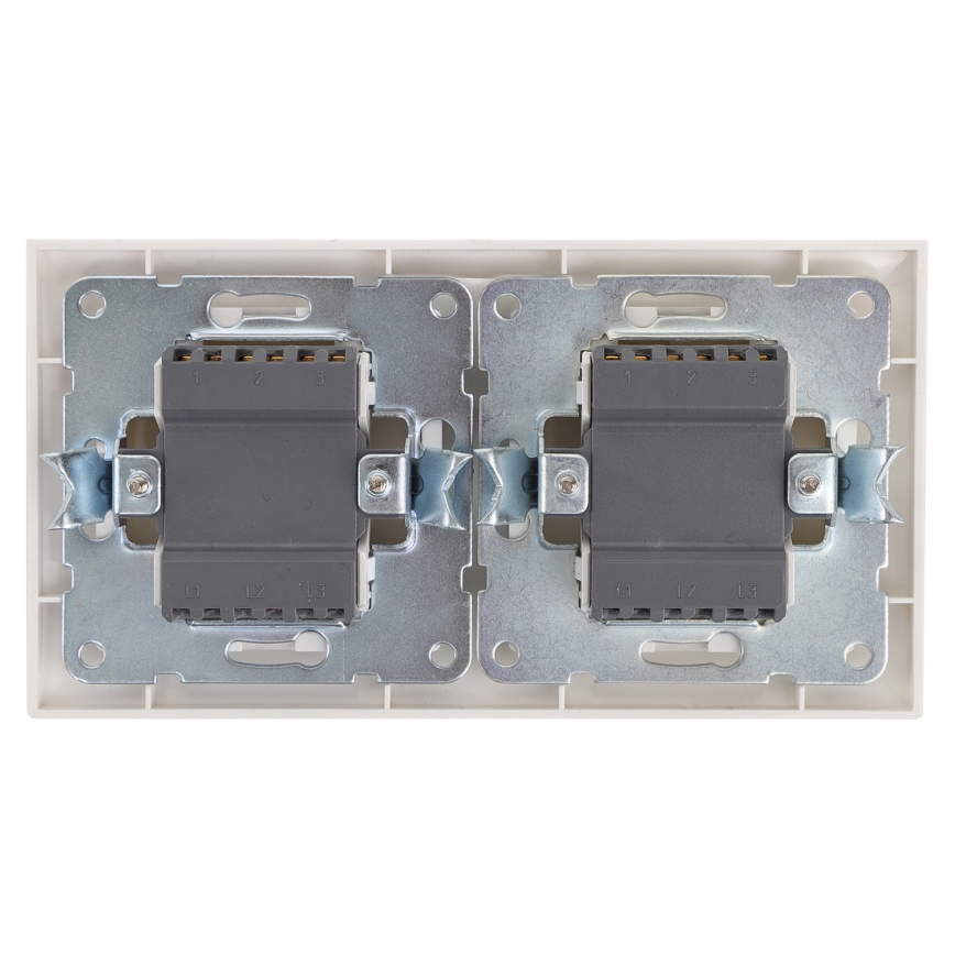 Aigostar - SET 2x Kućni prekidač s 2 tipke 250V/10A