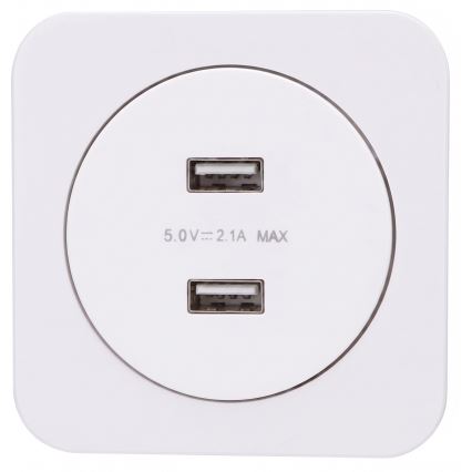 Aigostar - USB utičnica za napajanje s okvirom 2x USB-A, bijela