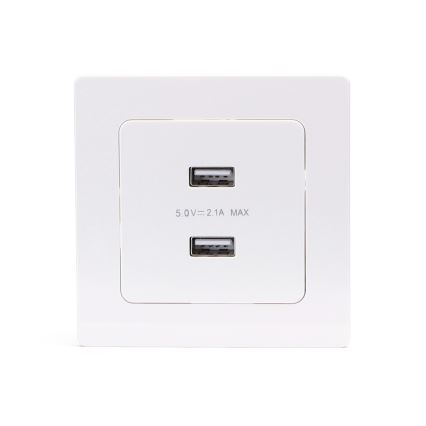 Aigostar - USB utičnica za napajanje s okvirom, 2x USB-A, bijela
