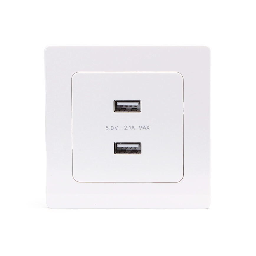 Aigostar - USB utičnica za napajanje s okvirom, 2x USB-A, bijela