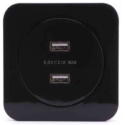 Aigostar - USB utičnica za napajanje s okvirom 2x USB-A crna