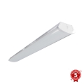 APLED - LED Nadgradna svjetiljka TROUT LED/72W/230V 4000K