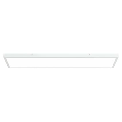 APLED - LED Nadgradni panel LONG LED/40W/230V 4000K 120x30cm IP41 bijela