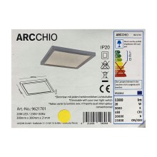 Arcchio - LED Prigušiva stropna svjetiljka SOLVIE LED/20W/230V