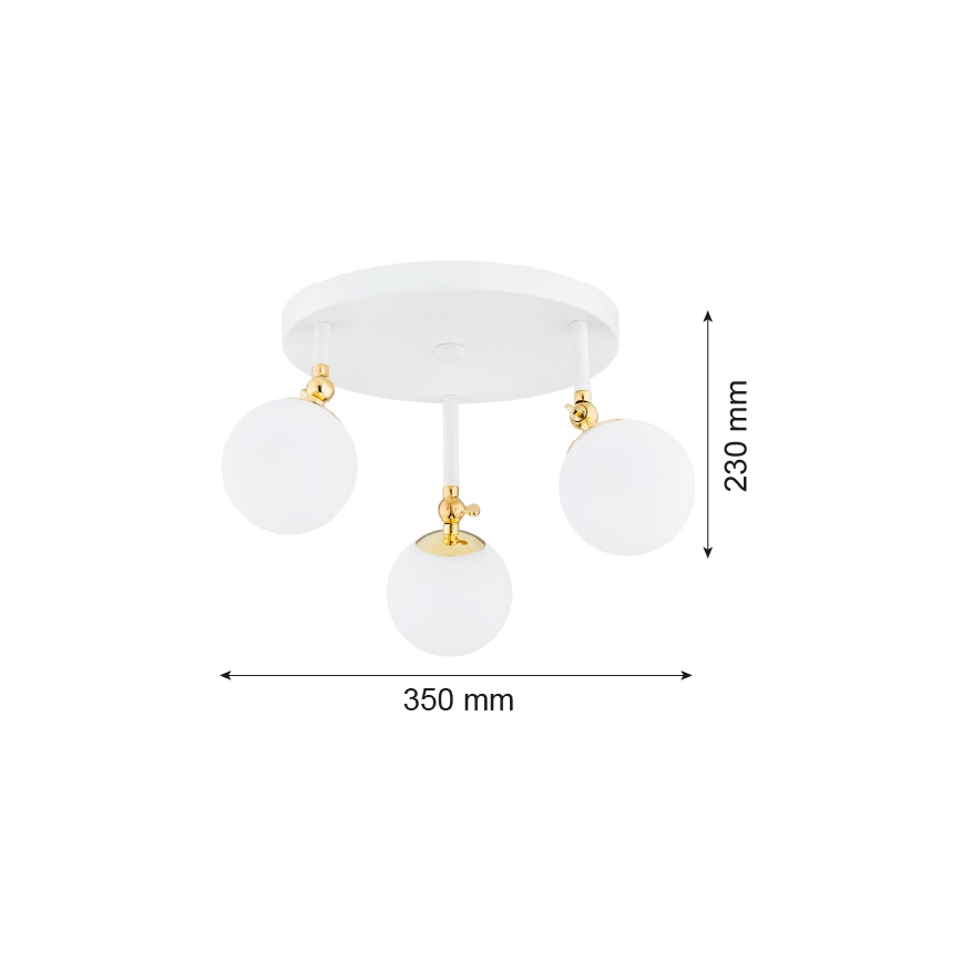 Argon 1434 - Nadgradni luster za kupaonicu LATINA 3xE14/7W/230V IP44 bijela/zlatna